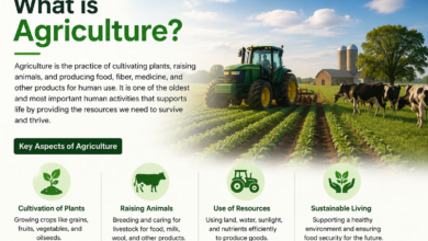 What Is Agriculture
