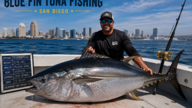 Blue Fin Tuna Fishing San Diego